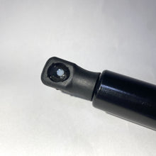 Cargar imagen en el visor de la galería, Gato maleta G4 #633aa