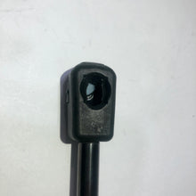 Cargar imagen en el visor de la galería, Gato maleta WK (presion) #322aa