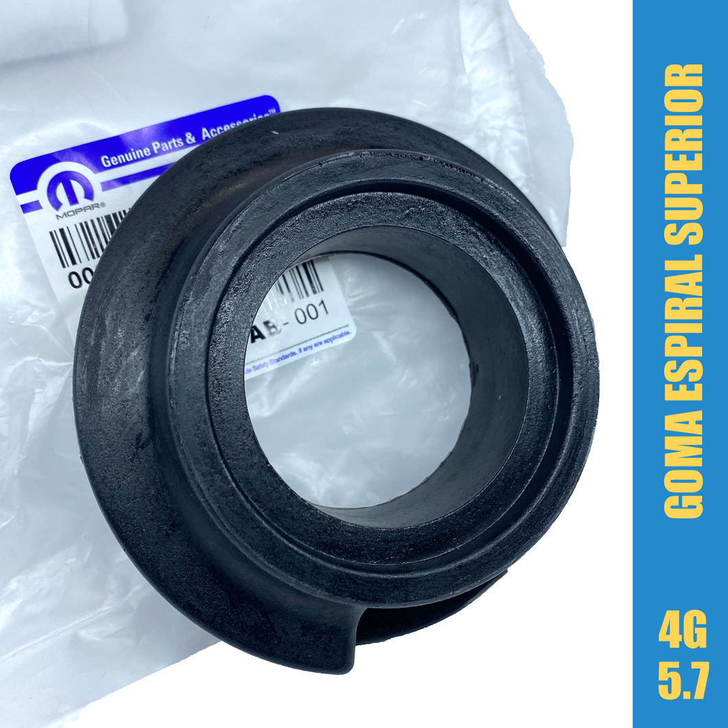 Goma espiral WX XK G4 del sup #646ab