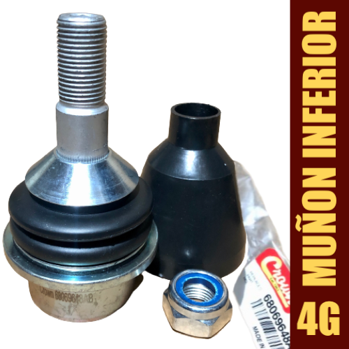 Muñon meseta inf G4 del